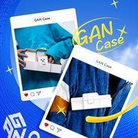 Gan Case