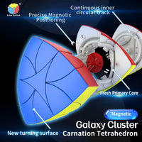 Diansheng Magnetic Carnation Tetrahedron