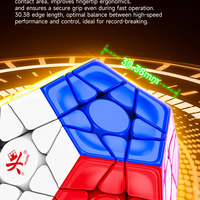 Dayan Megaminx Pro+ (Standard / Maglev)