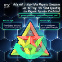 Qiyi Warrior Pyraminx M